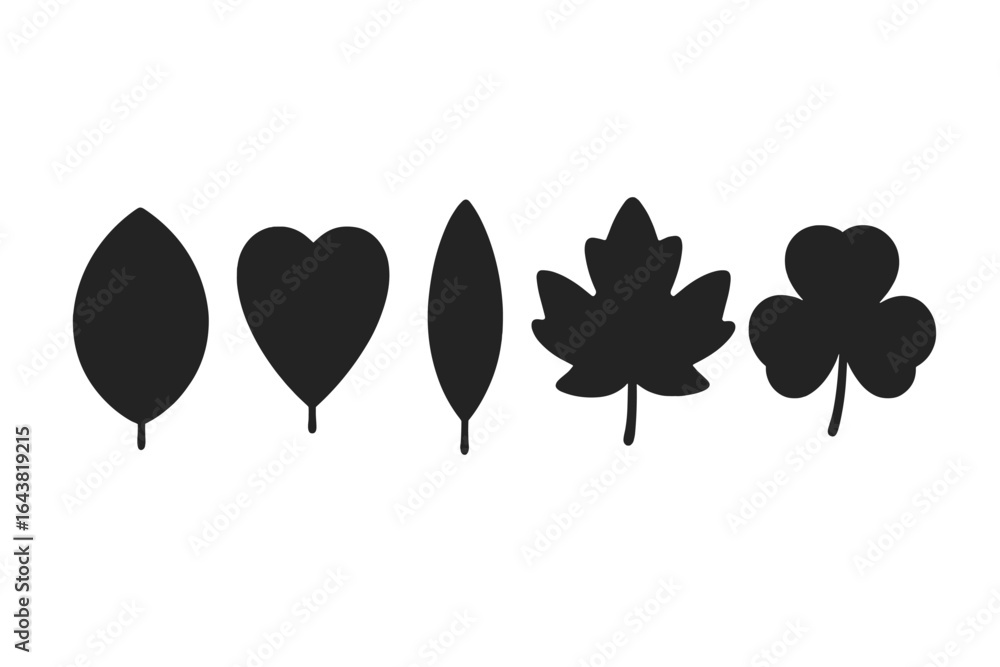 Poster silhouettes of various leaf shapes arranged in a row on a white background showcasing the diversity 
