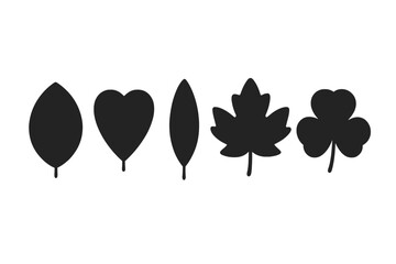 Silhouettes of various leaf shapes arranged in a row on a white background showcasing the diversity of nature