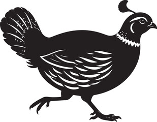 Obraz premium northern bobwhite quail vector silhouette, northern bobwhite quail clipart vector