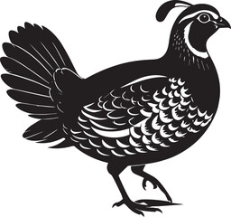 northern bobwhite quail vector silhouette, northern bobwhite quail clipart vector