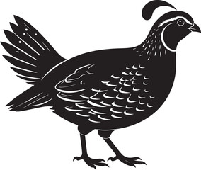 Fototapeta premium northern bobwhite quail vector silhouette, northern bobwhite quail clipart vector