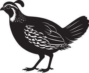 Fototapeta premium northern bobwhite quail vector silhouette, northern bobwhite quail clipart vector