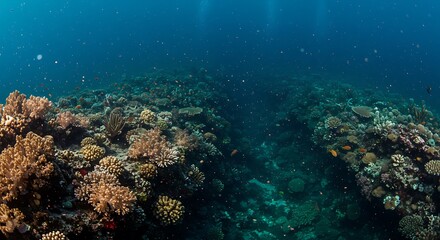 Fototapeta premium Vibrant Coral Reef Ecosystem Undersea Panorama