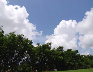 Obraz premium Fluffy clouds over lush green trees