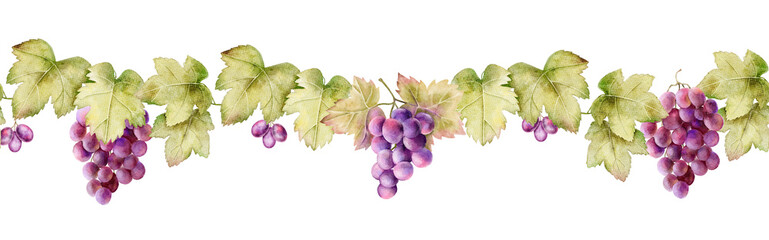 Horizontal seamless watercolor border with green leaves and purple grape clusters on a white background. Perfect for wine event banners, labels, menus, and harvest festival designs.
