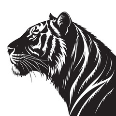 black caspian tiger Silhouette Vector, High Quality Illustration on White Background
