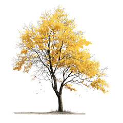Naklejka premium Line-art style tall autumn tree with sparse yellow leaves