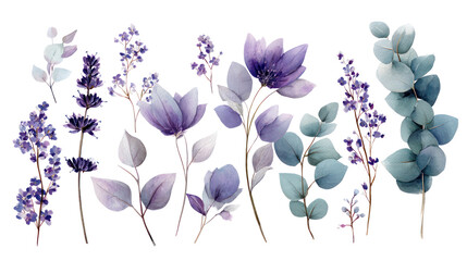 Minimal watercolor floral set with delicate lavender eucalyptus on transparent background