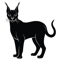 caracal cat vector