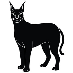 caracal cat vector