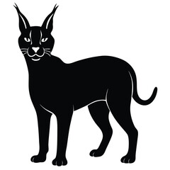 caracal cat vector