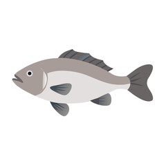 Gray fish illustration on black backdrop for design projects