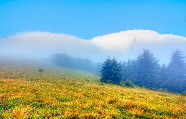 There is a large mountain range in the background with clouds covering on the mountains - Autumn colorful landscape with colorful tree - Savsat, Artvin
