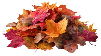 Pile of Autumn Leaves
