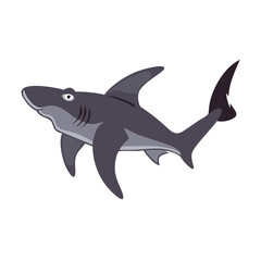 Illustration of a great white shark on black background