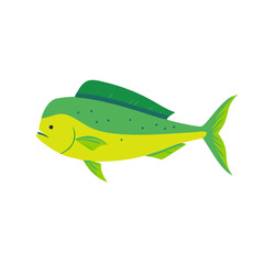 Flat design illustration of a vibrant Mahi Mahi fish