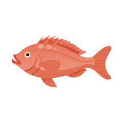 Flat vector illustration of a reddish-orange fish profile