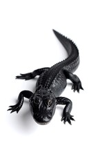 Black alligator toy