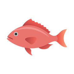 Simple salmon fish illustration with black background, isolated