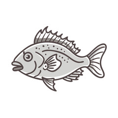 Grey scale fish illustration with simple design over black