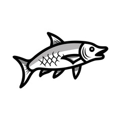 Stylized shark graphic with bold lines and monochrome palette