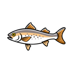 Isolated brown trout illustration in flat vector style
