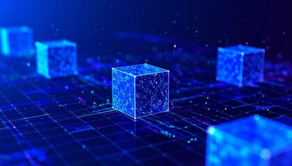 Blockchain Network Interconnected Blocks in a Digital Representation