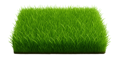 Green grass turf on.