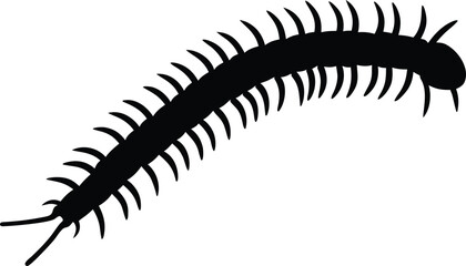 Centipede vector silhouette, centipede black icon