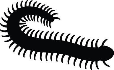 Centipede vector silhouette, centipede black icon