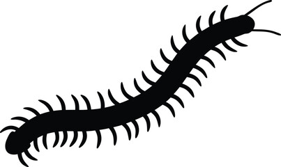 Centipede vector silhouette, centipede black icon