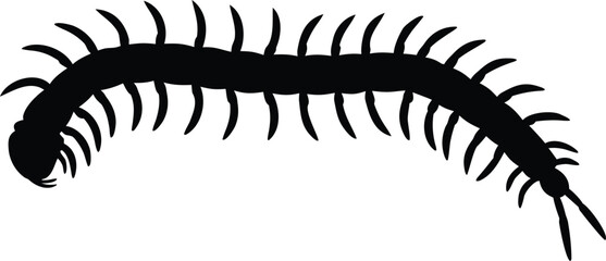 Centipede vector silhouette, centipede black icon