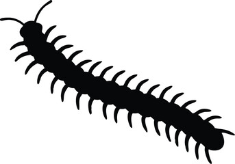 Centipede vector silhouette, centipede black icon