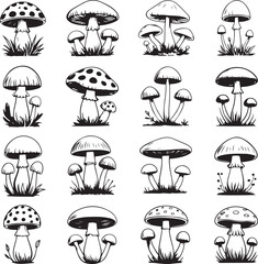 Set of detailed black and white mushroom illustrations for design and decoration purposes