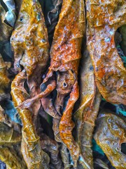 Dried Papaya Leaf Pattern – Natural Rustic Texture Background