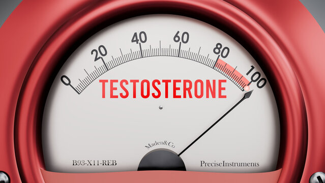 Testosterone that is hitting a full scale, showing rising levels of testosterone, possibly overload of it, too much of it. Maximum value, off the charts.  ,3d illustration
