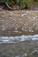 sand on the beach