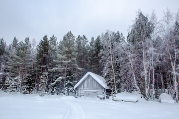 Snow-covered wooden cabin in winter forest surrounded by frosted trees under cloudy sky
