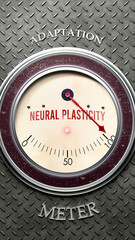 Neural Plasticity and Adaptation that is hitting a full scale, showing a very high level of neural plasticity, overload of it, too much of it. Maximum value, off the charts.  ,3d illustration