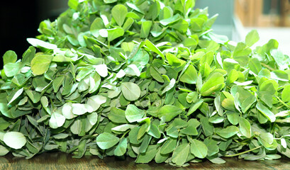 Fresh Fenugreek Leaves (Methi) on Wooden Surface