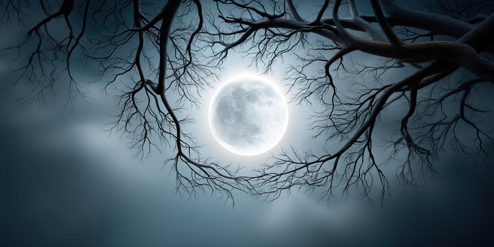 Full moon glowing through dark leafless tree branches on a misty night sky creating eerie and mysterious atmosphere