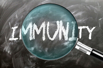 Immunity - learn, study and inspect it. Taking a closer look at immunity. A magnifying glass enlarging word 'immunity' written on a blackboard ,3d illustration