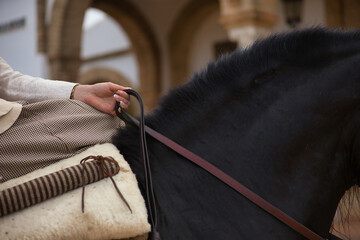 Detail of a young horsewoman's hand holding the reins of her black Spanish thoroughbred horse. She...