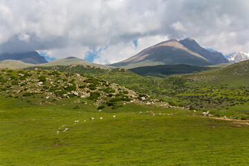 Tianshan Mountains in Kyrgyzstan
