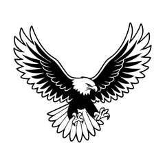 Fototapeta premium A bald eagle is flying with its wings spread wide, isolated on white background the eagle is a symbol of freedom and power, and it is a national emblem