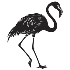 illustration of a flamingo