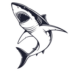shark vector illustration