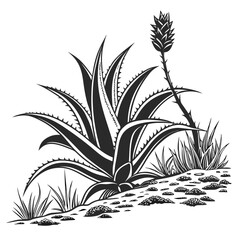 palm tree silhouette