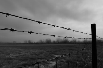 Black and white barbed wire fence with blurred rural landscape, foggy sky, and cold atmosphere, depicting isolation and desolation in nature.