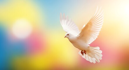 White dove soars against a vibrant blurry colorful background